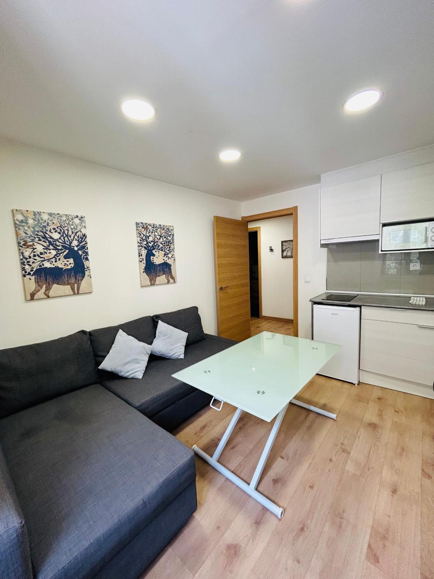 Apartahotel Canfranc Kültér fotó